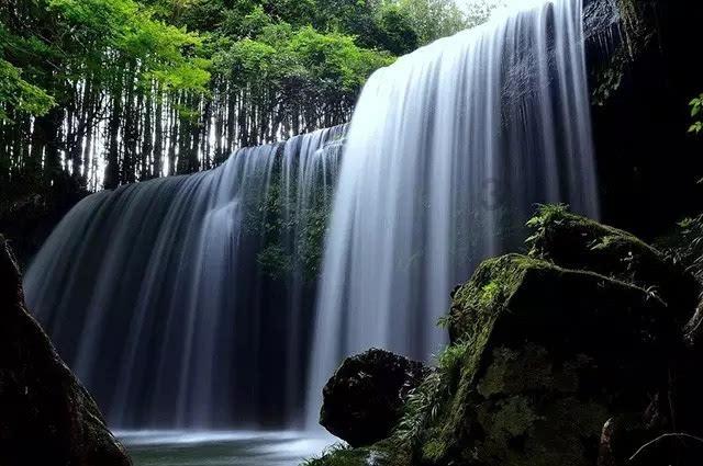 莫雷岛逃脱